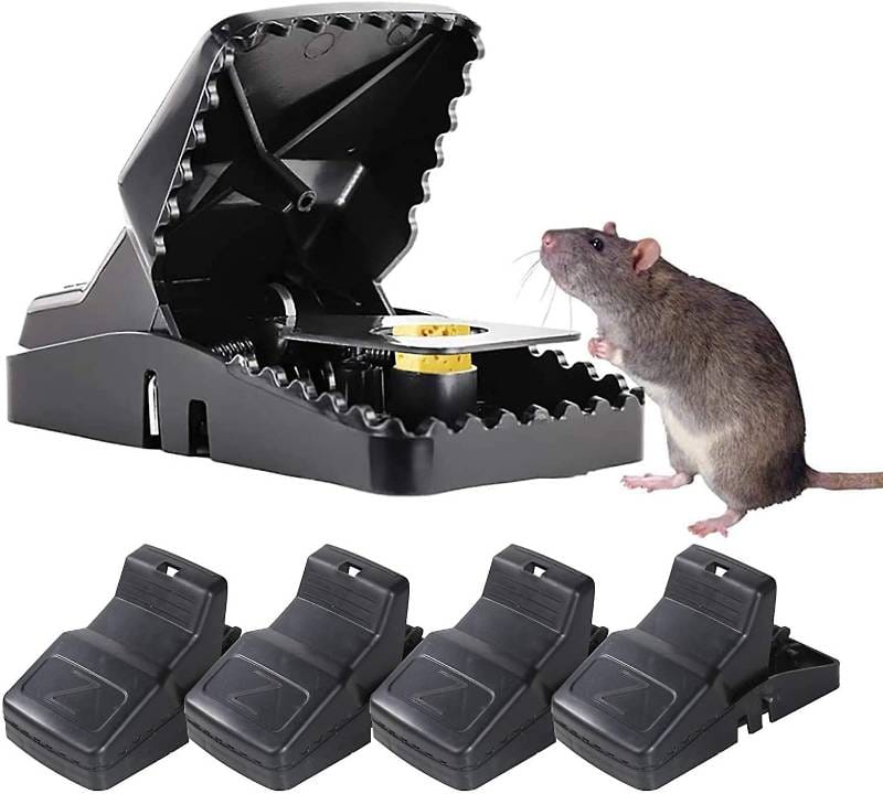 Rat Trap (২পিস)
