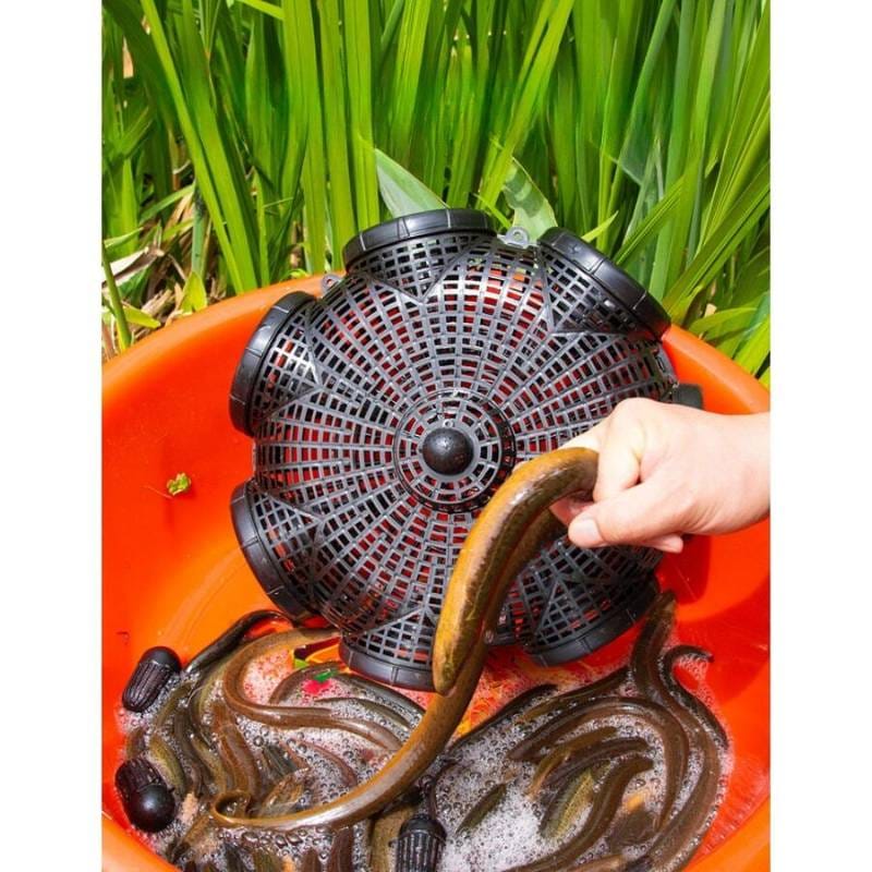 Fish Catching Trap (২ পিস)